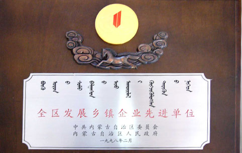 內(nèi)蒙古先進鄉(xiāng)鎮(zhèn)企業(yè)